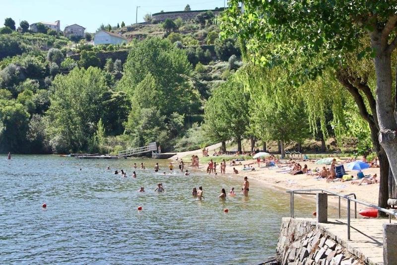Quinta De Catapeixe Douro River Magrelos Екстер'єр фото